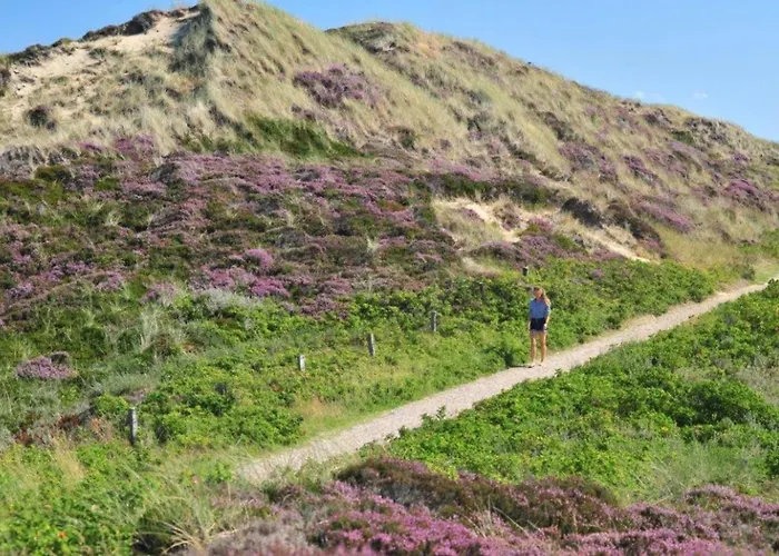 Spatzennest Lejlighed Kampen